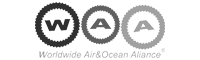 Worldwide Air & Ocean Alliance